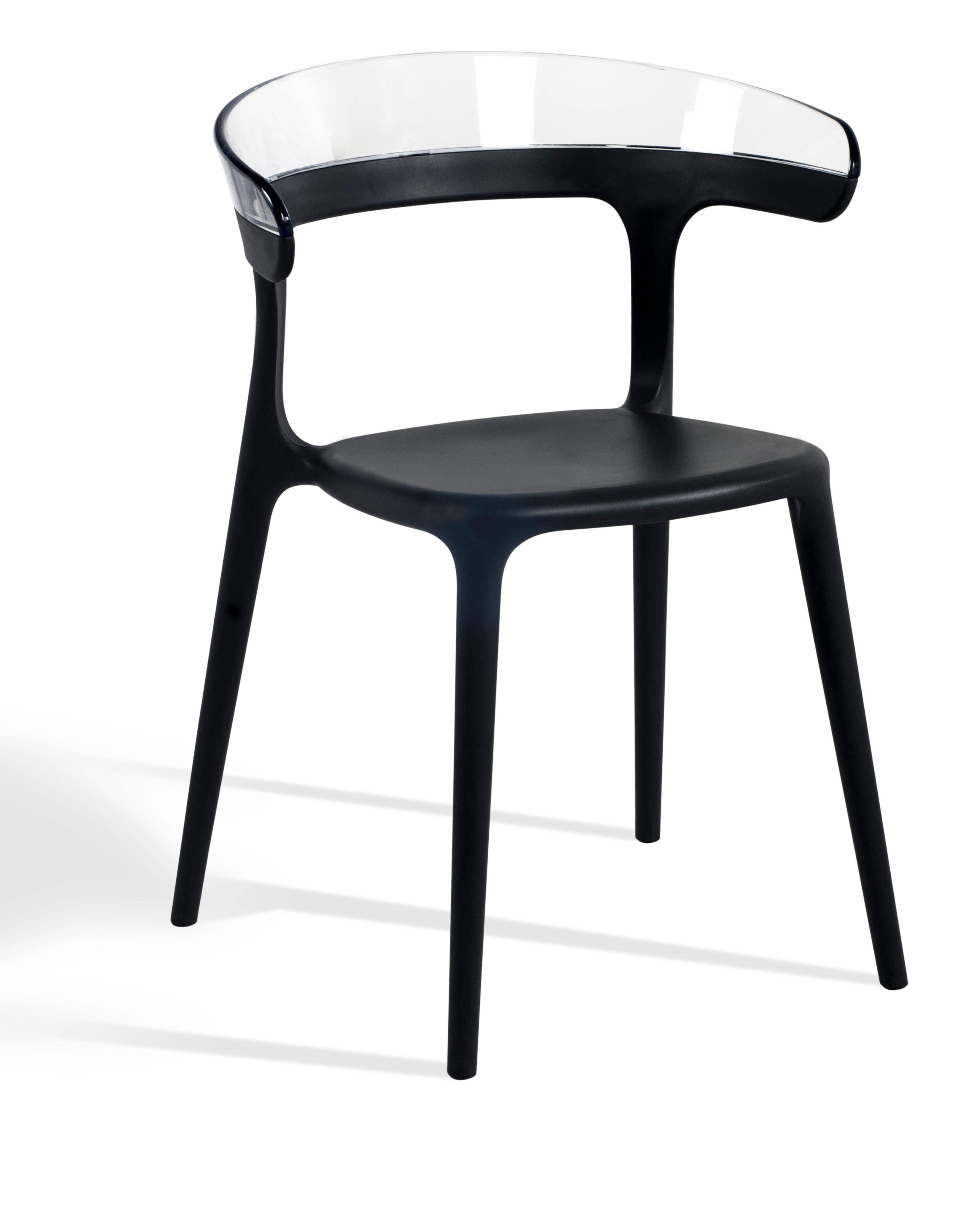 Mia Patio Dining Chair in Black and Clear- (Set of 2)