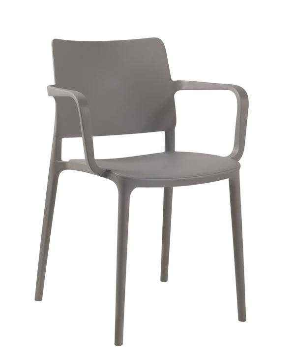 Cleo Arm Patio Dining Chair in Taupe - (Set of 2)
